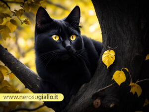 Scopri di più sull'articolo Gatto Nero: Simbolo Misterioso.